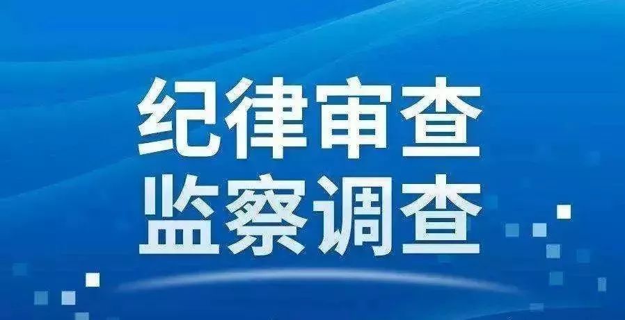 利发盛镇新领导团队引领未来，铸就辉煌新篇章