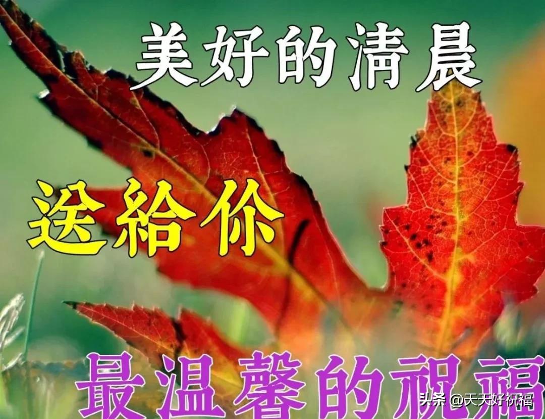 最新比价，购物新时代的首选方式