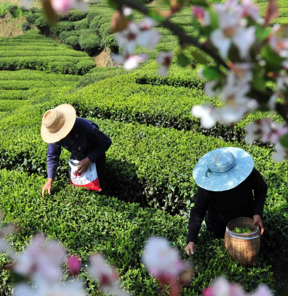 时光印记探索，2017照片集锦回顾