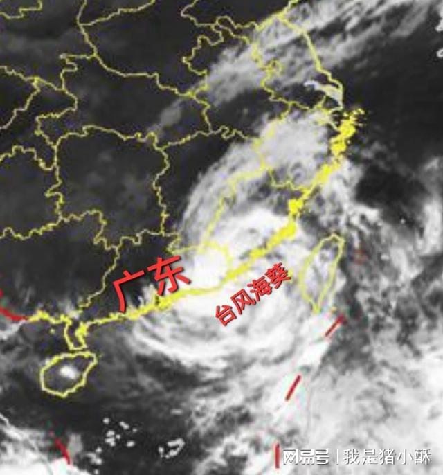 中国最新台风动态及影响概述