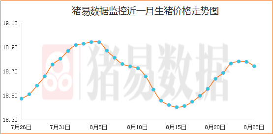 新澳门今晚开特马开奖,市场趋势方案实施_游戏版256.183