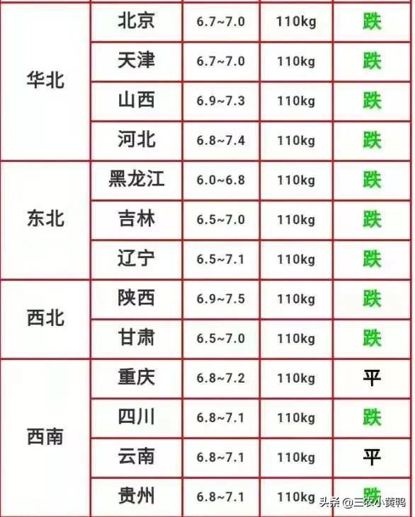 猪肉最新价格动态解析报告