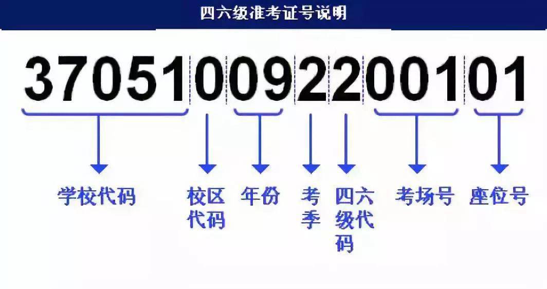 澳门三肖三码三期凤凰,快捷解决方案问题_X49.215