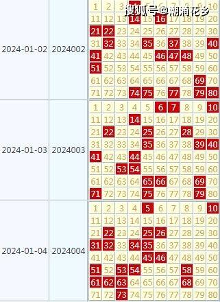 2024新奥历史开奖记录表一,灵活执行策略_钱包版72.624