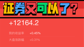 2024年11月2日 第31页