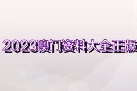 澳门资料大全正版资料2023年公开,广泛的解释落实方法分析_基础版2.229