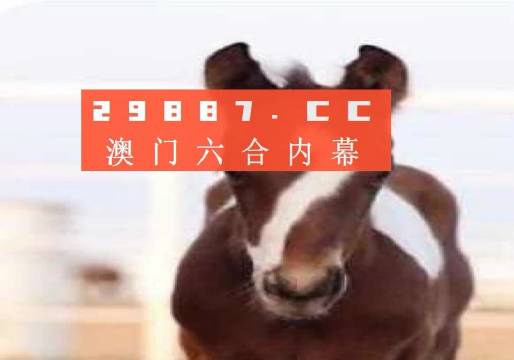 澳门一肖一码100%免费,精细化策略落实探讨_豪华版180.300