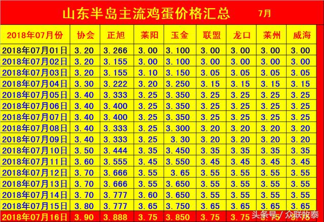 最新鸡蛋价格行情报告解析