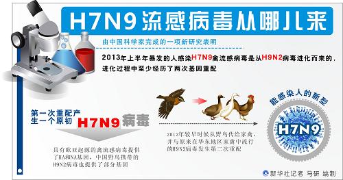 H7N9最新动态，全球禽流感防控进展与应对策略调整