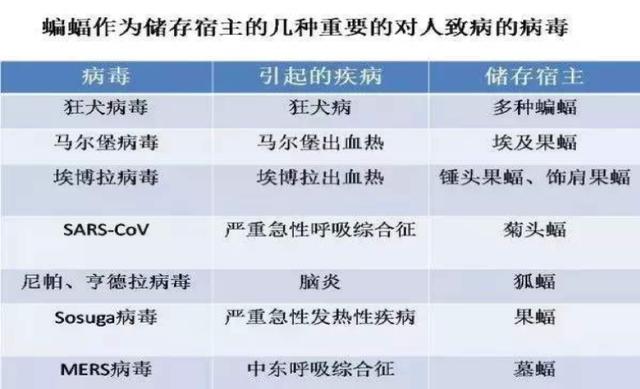 新奥门资料大全正版资料2024年免费下载,权威诠释推进方式_V261.33