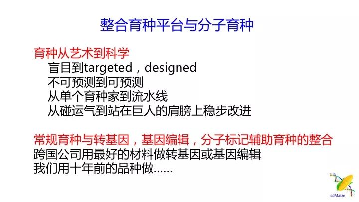 今晚澳门特马必开一肖,实地数据评估设计_挑战款82.416