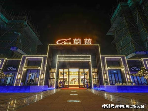 新澳天天彩免费资料查询,未来规划解析说明_豪华款29.51