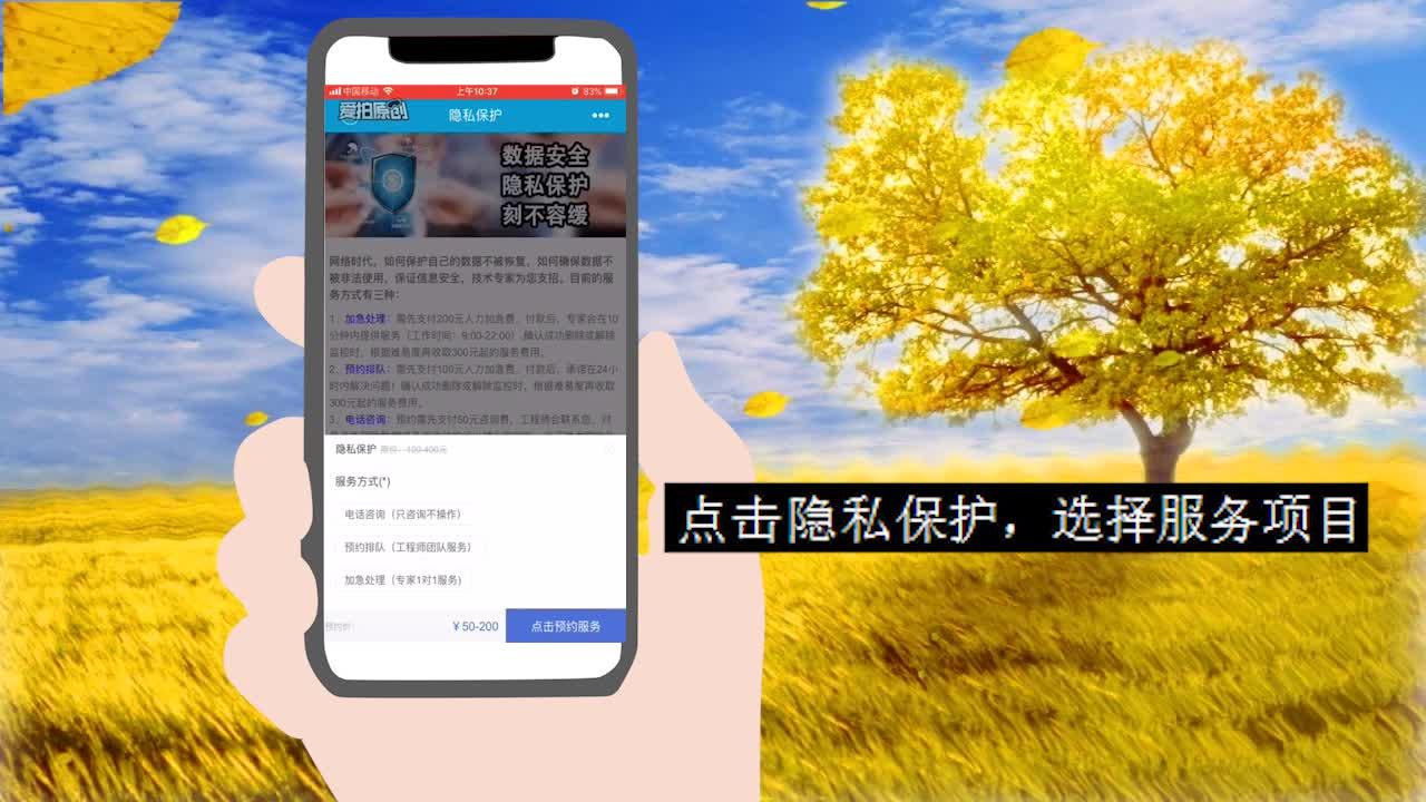 公司业务 第150页