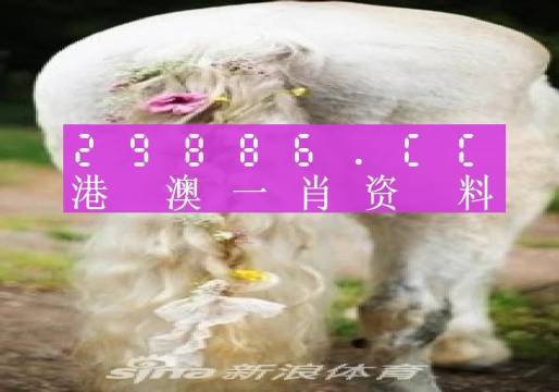 2024澳门第08期一肖一码,重要性解释落实方法_进阶版6.662