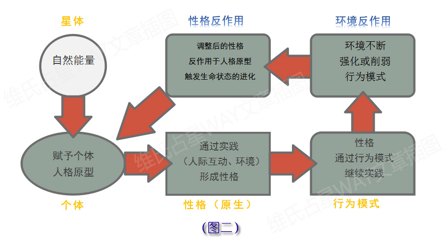 澳门四连尾100元赔多少,完善的执行机制解析_完整版2.18