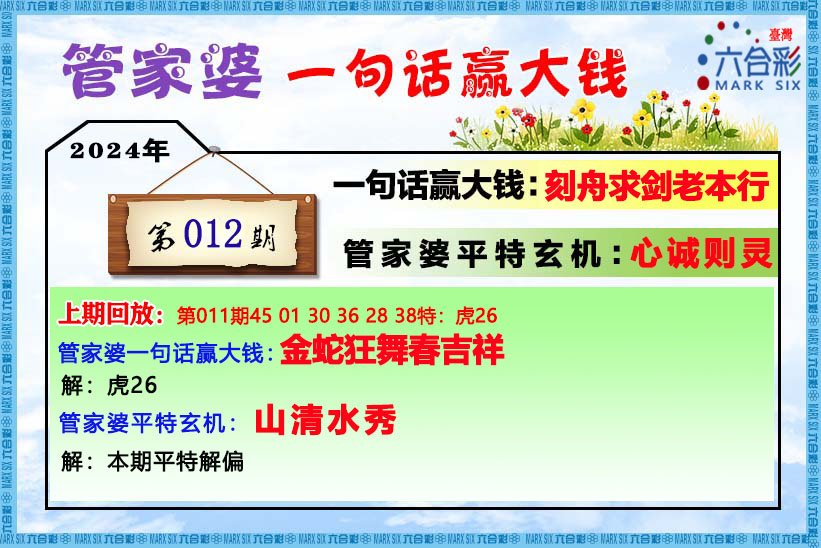 202管家婆一肖一吗,决策资料解释定义_android74.410