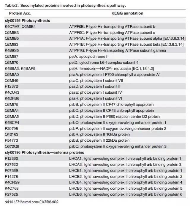 2024香港资料大全正新版,精细化评估解析_SP38.969