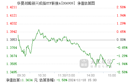 000979基金今日净值详解及最新净值查询