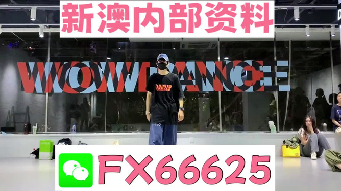 新澳门精准资料大全管家婆料,高效性实施计划解析_XR82.563