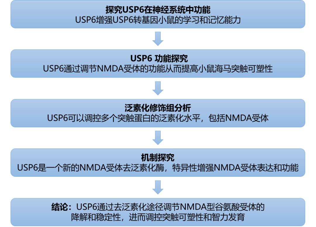 新澳免费资料大全正版资料下载,实地验证分析策略_运动版49.705