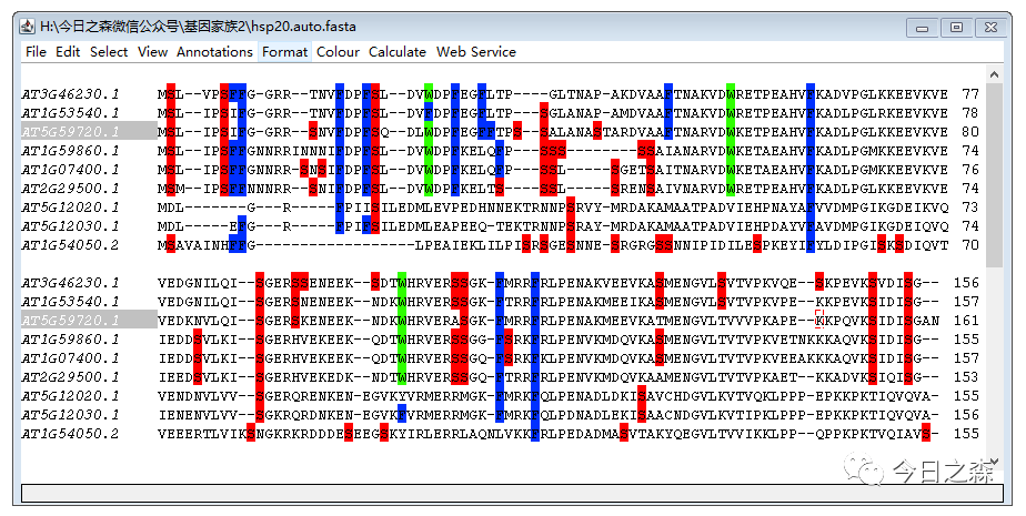 王中王72385.cσm.7229查询,数据解析导向策略_HarmonyOS81.837