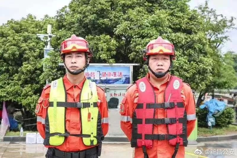 浙江协警改革迈向现代化警务新篇章的最新消息