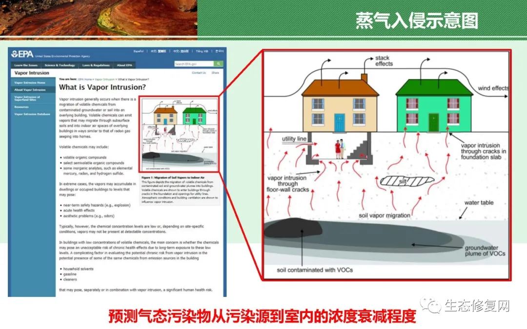 二四六王中王香港资料,实地数据评估策略_基础版14.586