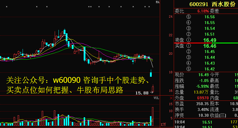 西水股份最新目标价分析与未来展望