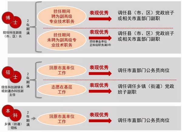 最准一肖一码100%免费,稳定执行计划_试用版20.775