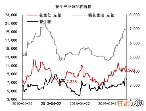 三井子最新花生价格走势深度解析