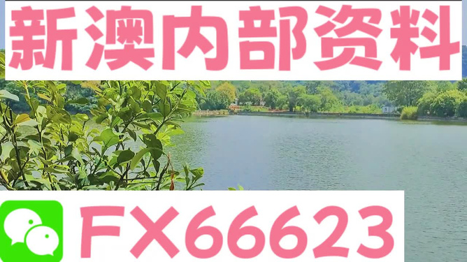 新澳精准资料免费提供网,实地方案验证_界面版83.582