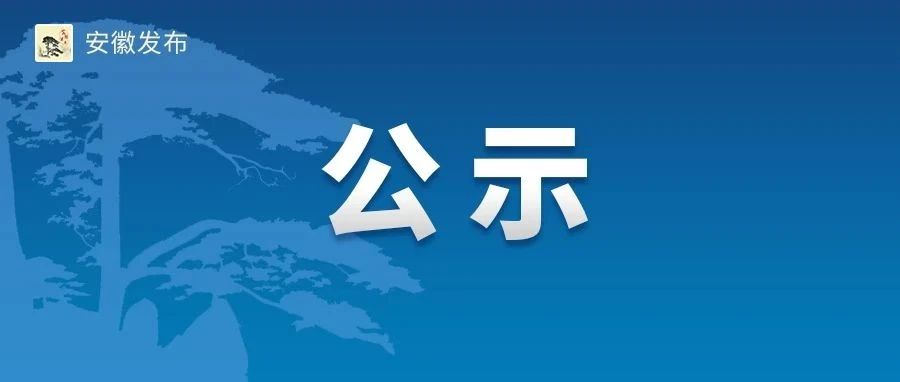 安徽省组织部最新公示，深化人才队伍建设，开启地方发展新篇章