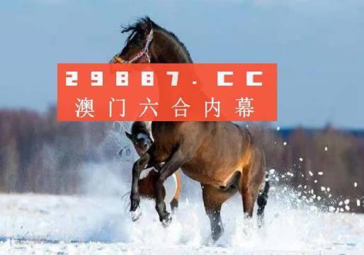 新澳门今晚必开一肖一特,实证数据解释定义_Executive46.879