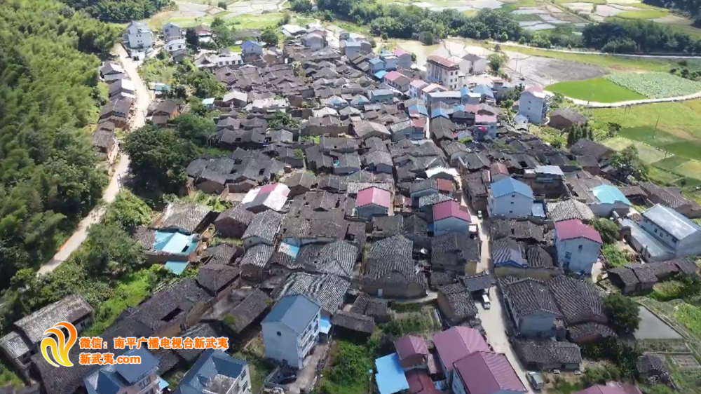 朱家山村委会新项目启动，重塑乡村，迈向繁荣之路