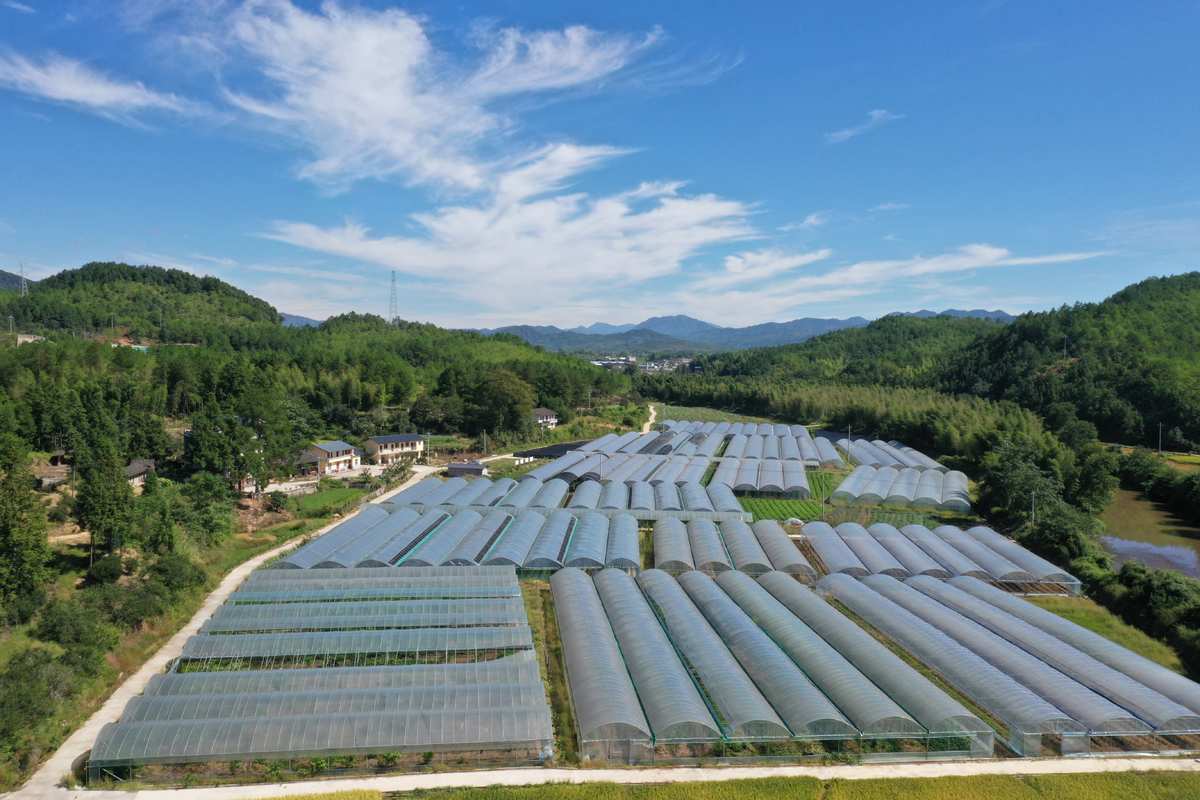 水茜乡迈向繁荣与可持续未来的最新发展规划蓝图