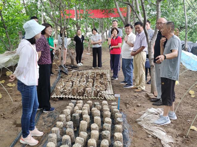 岭东区自然资源和规划局最新资讯速递