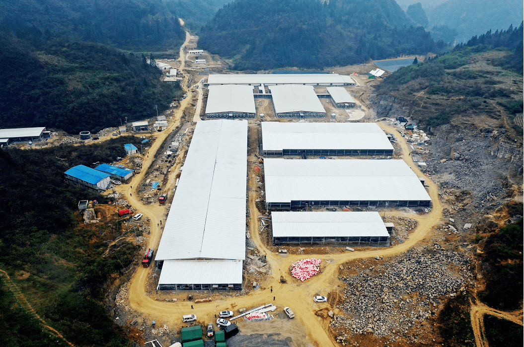 绥阳镇最新项目，地区发展的强大引擎驱动力