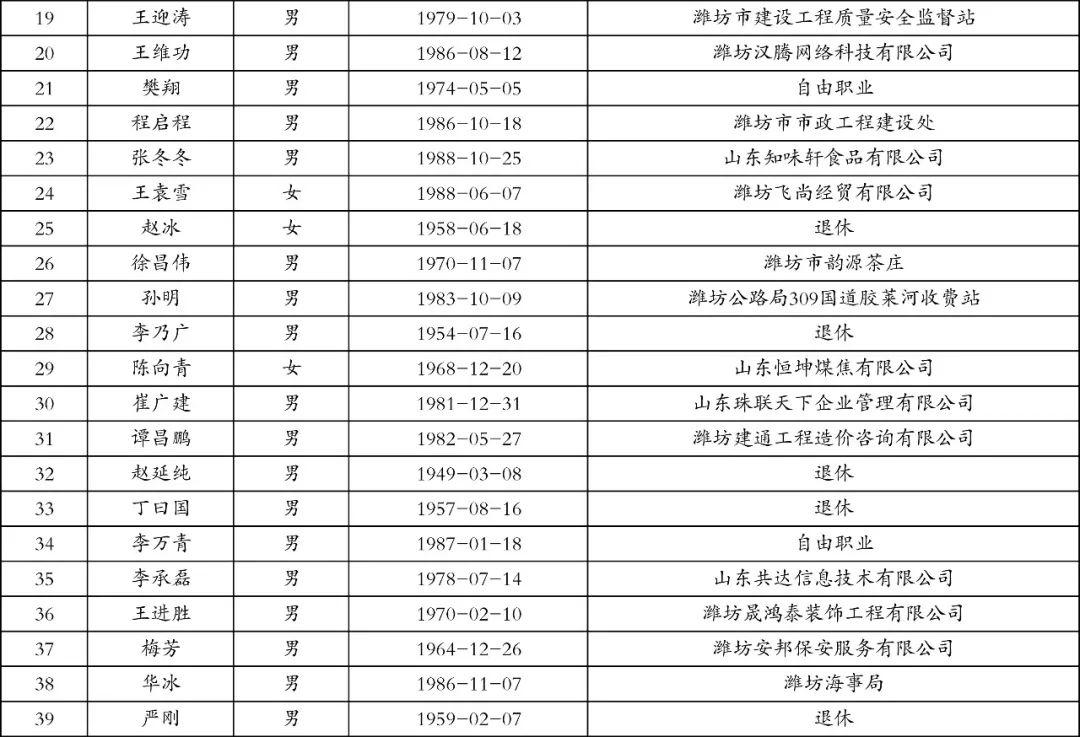 2024年12月11日 第31页