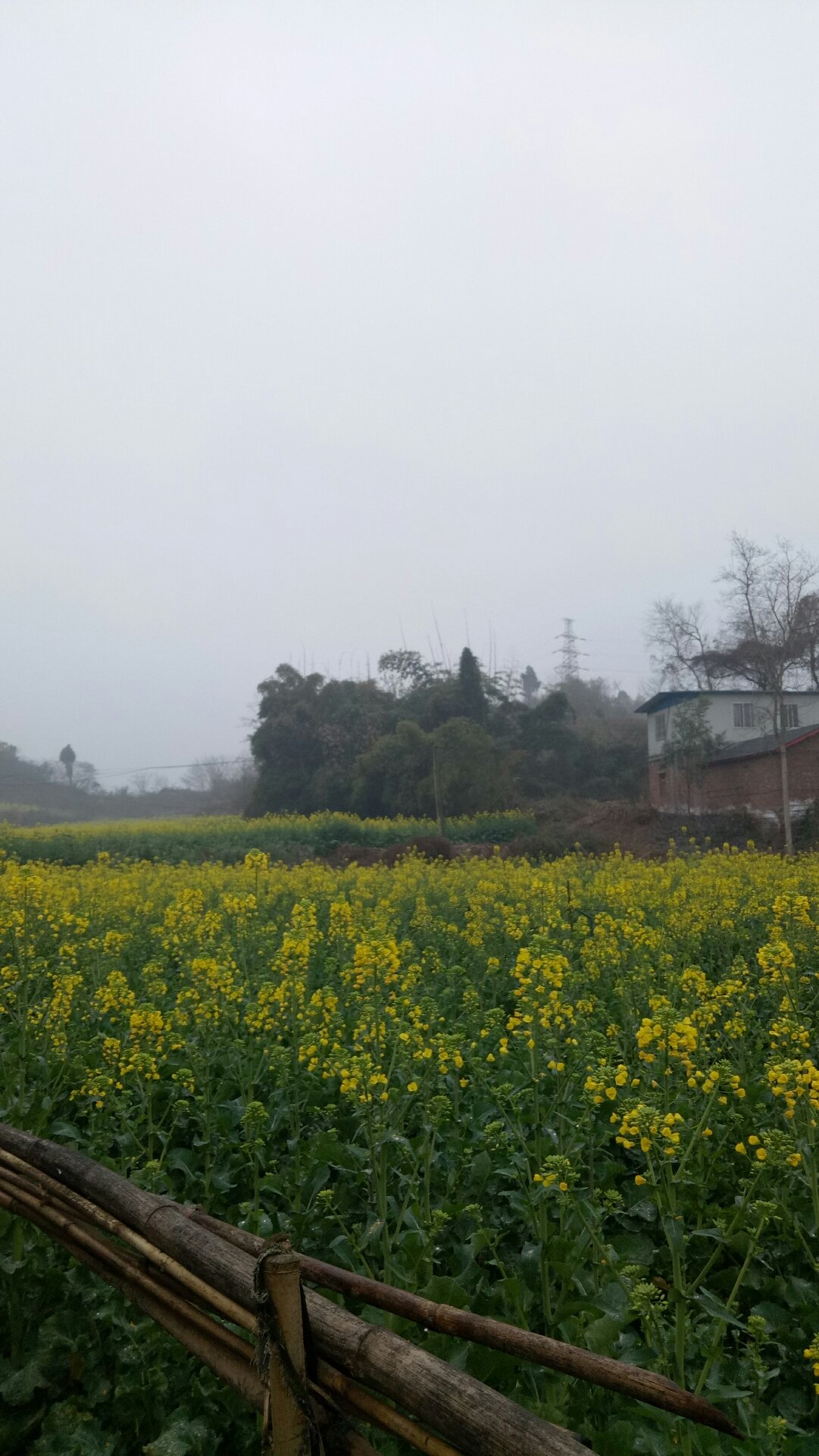 繁荣乡最新天气预报概览