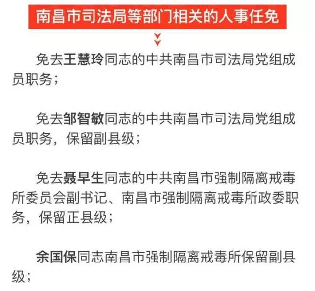 利通区科技局人事任命激发新活力，引领科技创新发展新征程