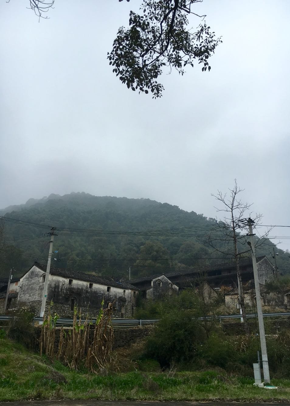 银塘镇天气预报更新通知