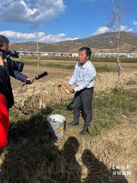 下关区农业农村局最新发展规划概览