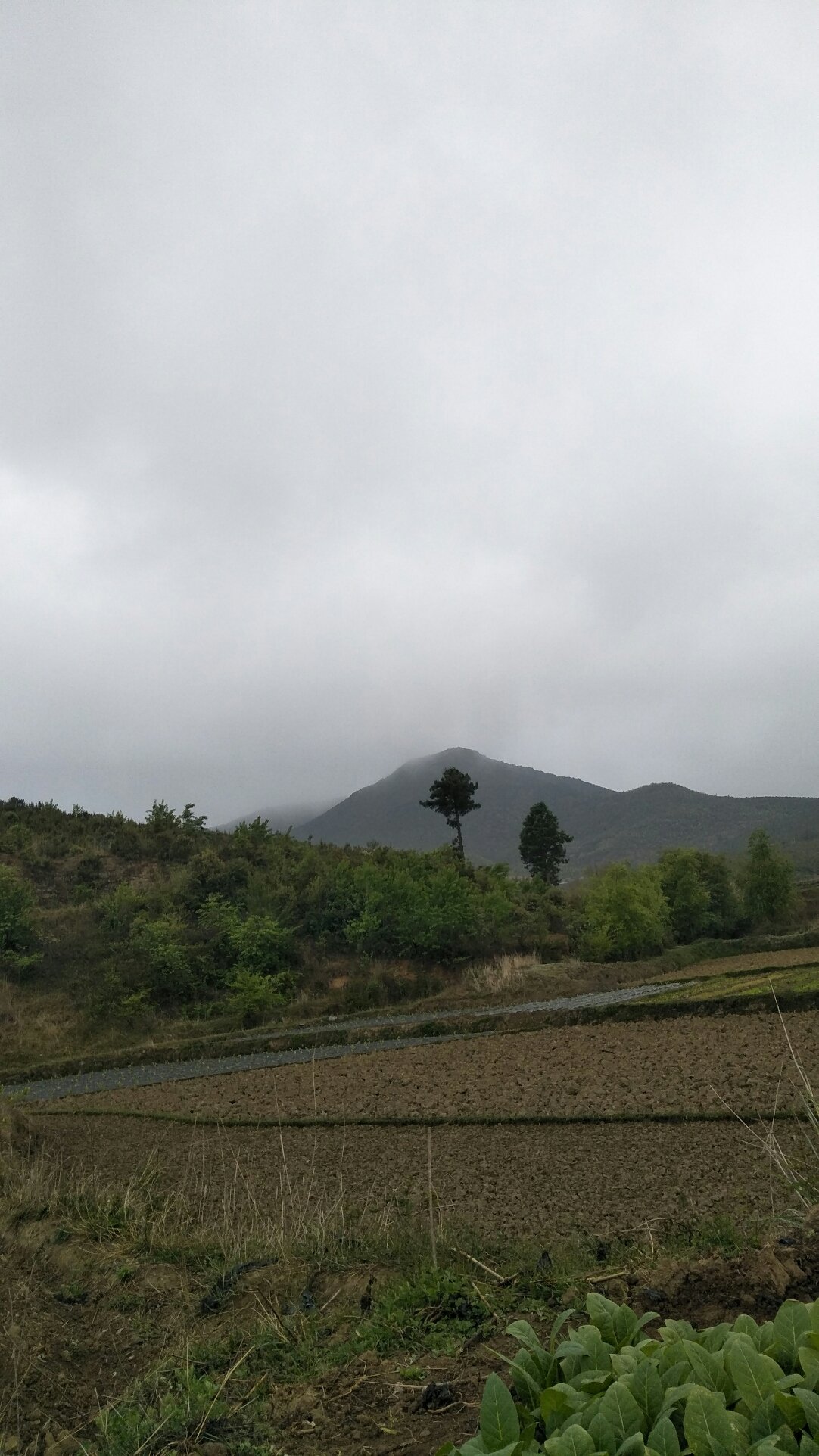 群峦经营所天气预报更新