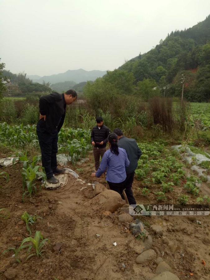 乐业县退役军人事务局最新动态报道