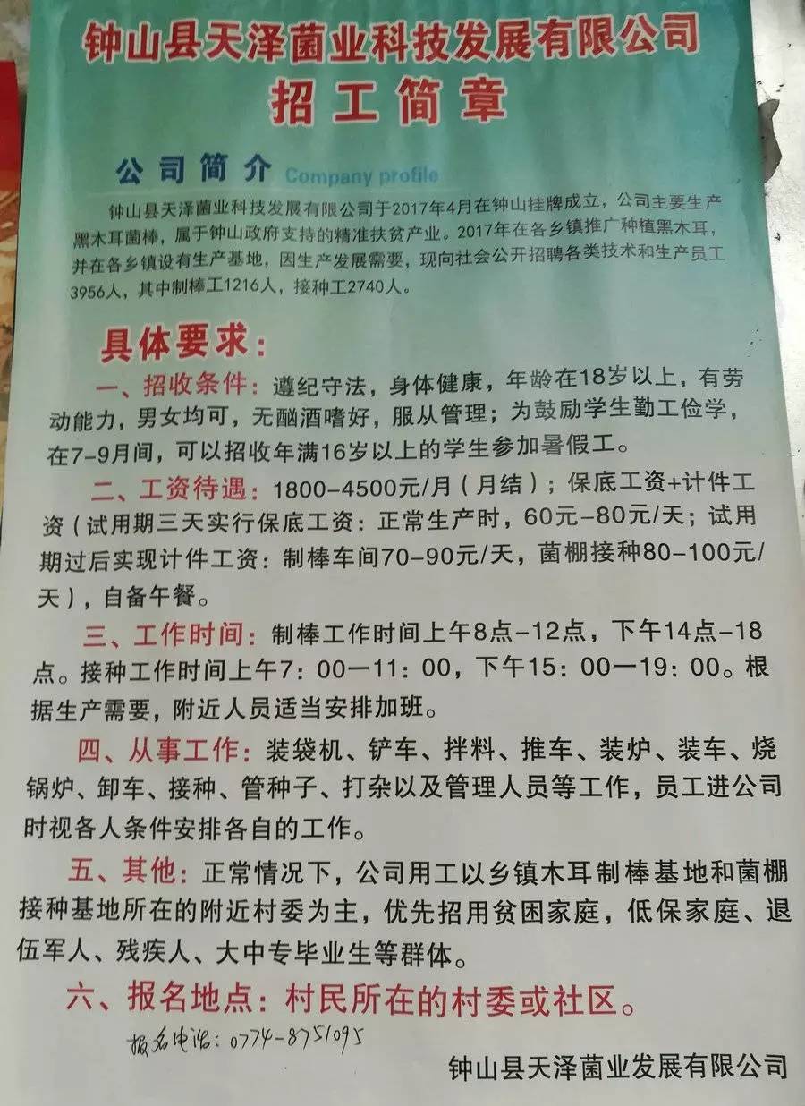 大济镇最新招聘信息全面解析